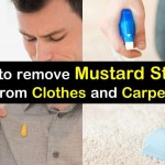 How To Remove Mustard Stain